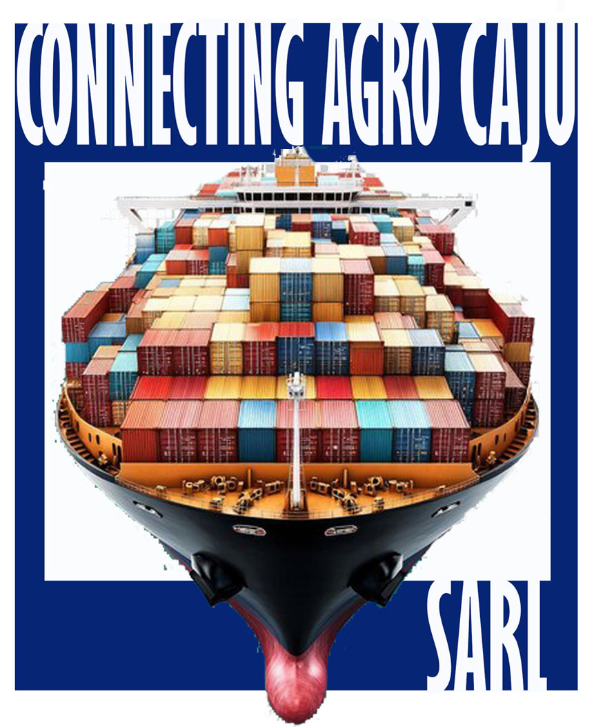 Reunião da Direção sobre Aviação Civil